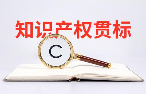 小微初創(chuàng)企業(yè)怎么申請知識產(chǎn)權(quán)貫標？