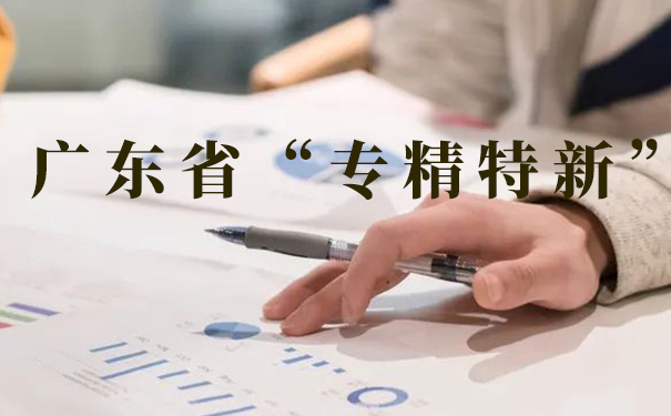 什么類型的企業(yè)可以申報(bào)專精特新科技小巨人？