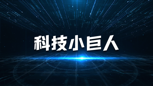 東莞市專精特新中小企業(yè)申報(bào)條件、補(bǔ)貼
