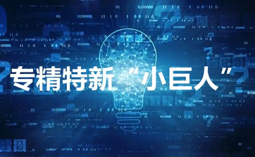 【詳細(xì)】專精特新企業(yè)申報(bào)流程、條件、領(lǐng)域