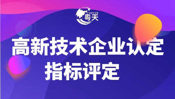 高新技術(shù)企業(yè)認(rèn)定指標(biāo)評定封面.png